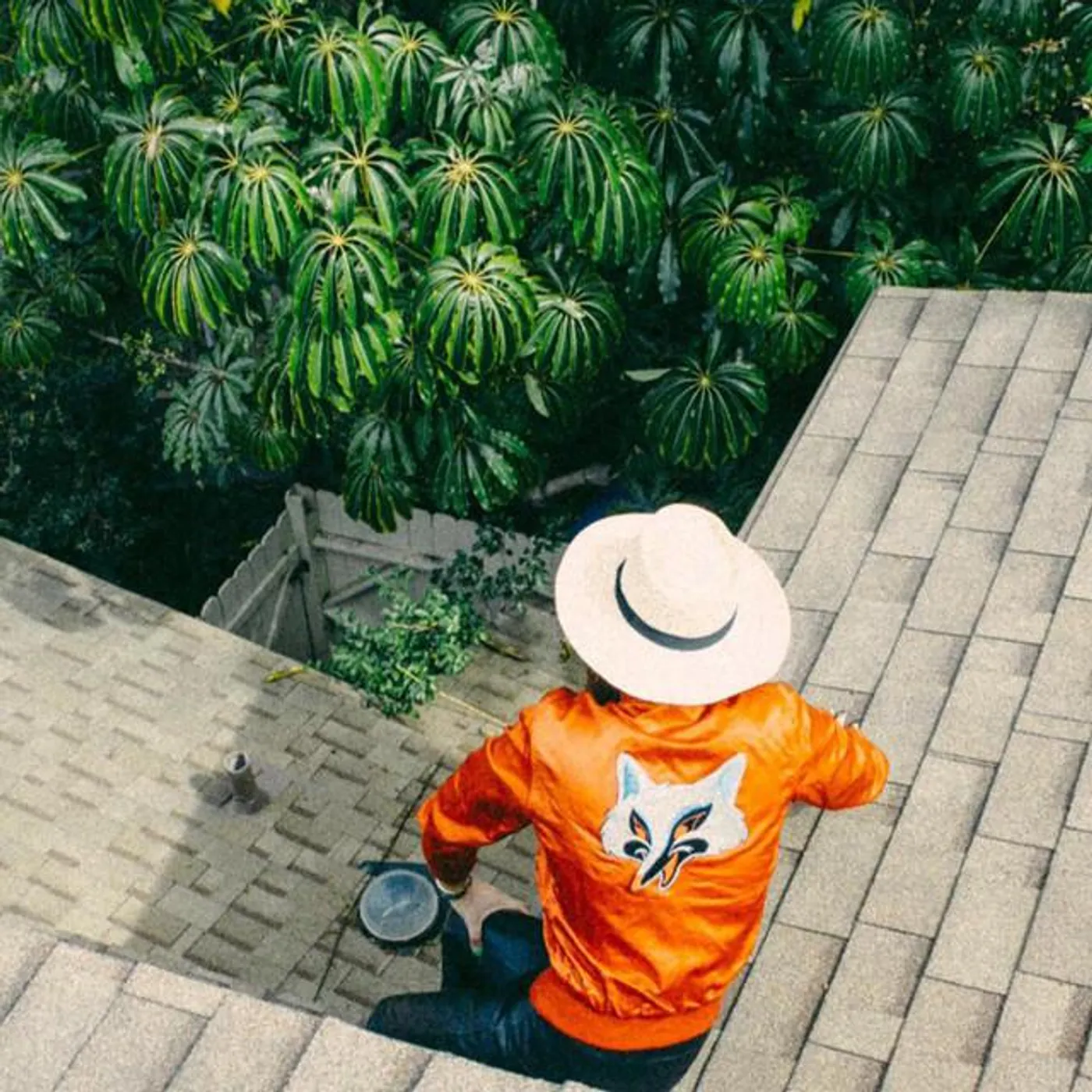 Devan DuBois Brand Page