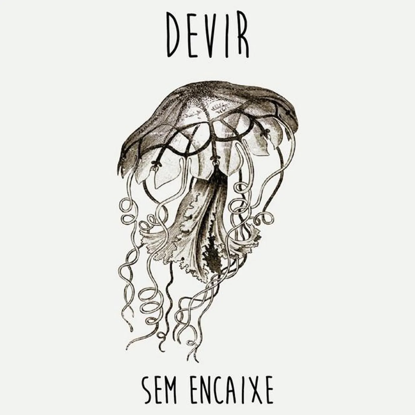 Devir