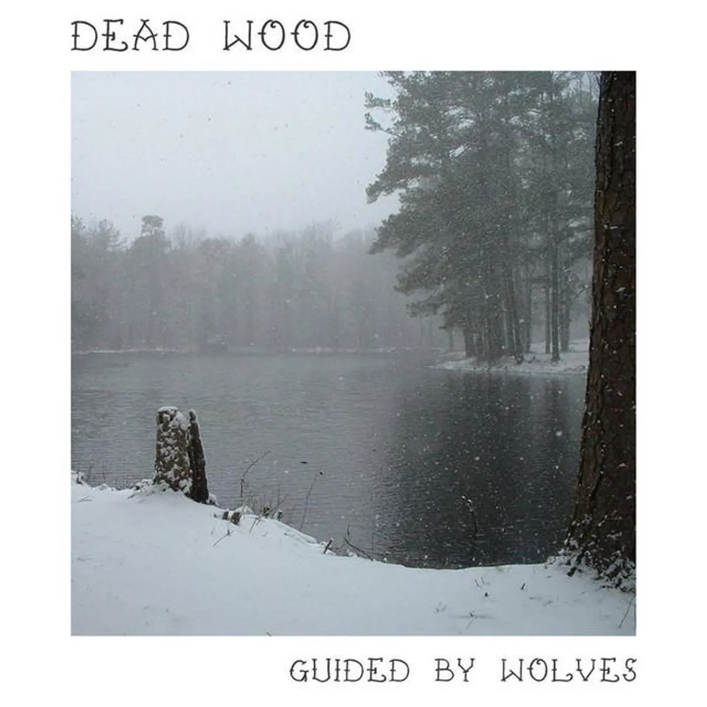 Dead Wood