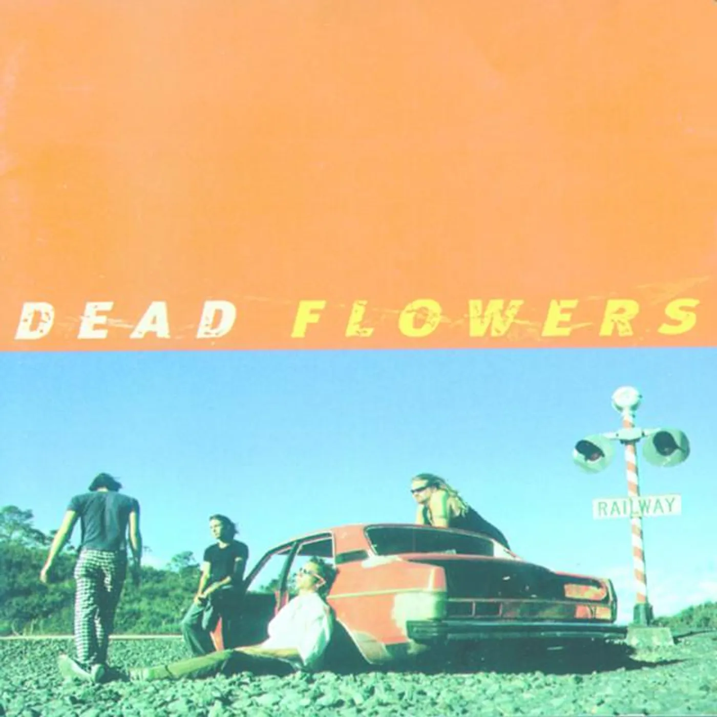 Dead Flowers