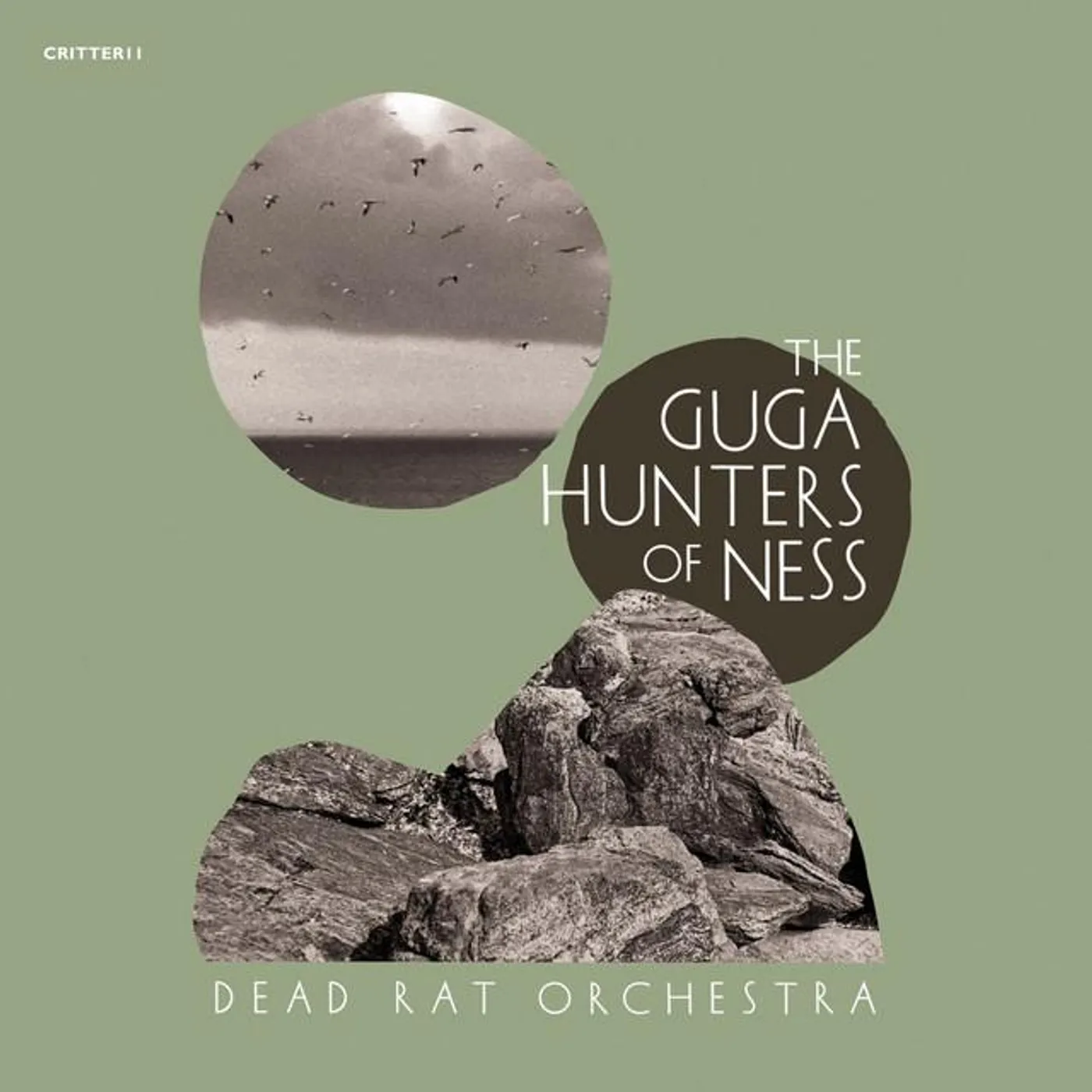Dead Rat Orchestra