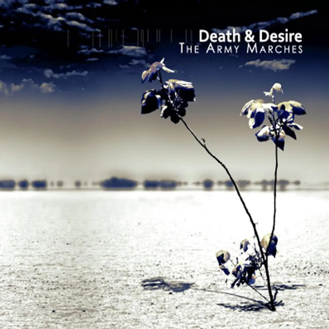 Death & Desire Brand Page