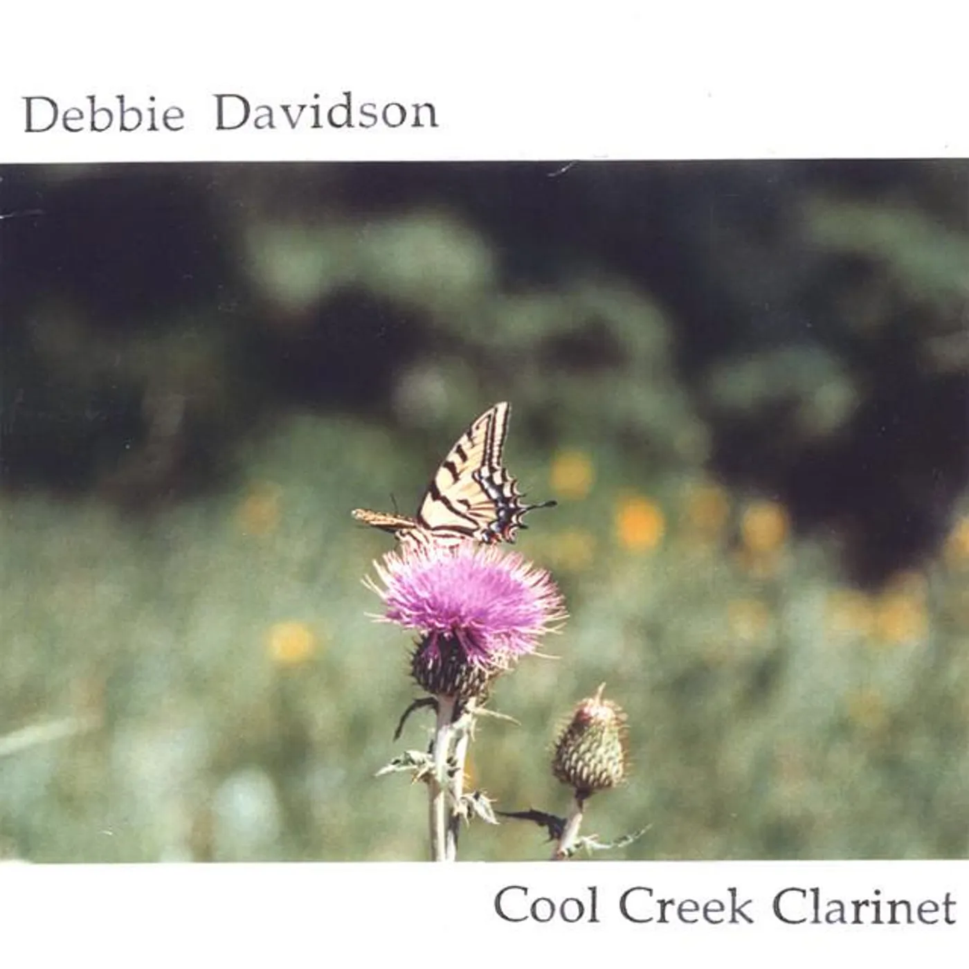 Debbie Davidson Brand Page