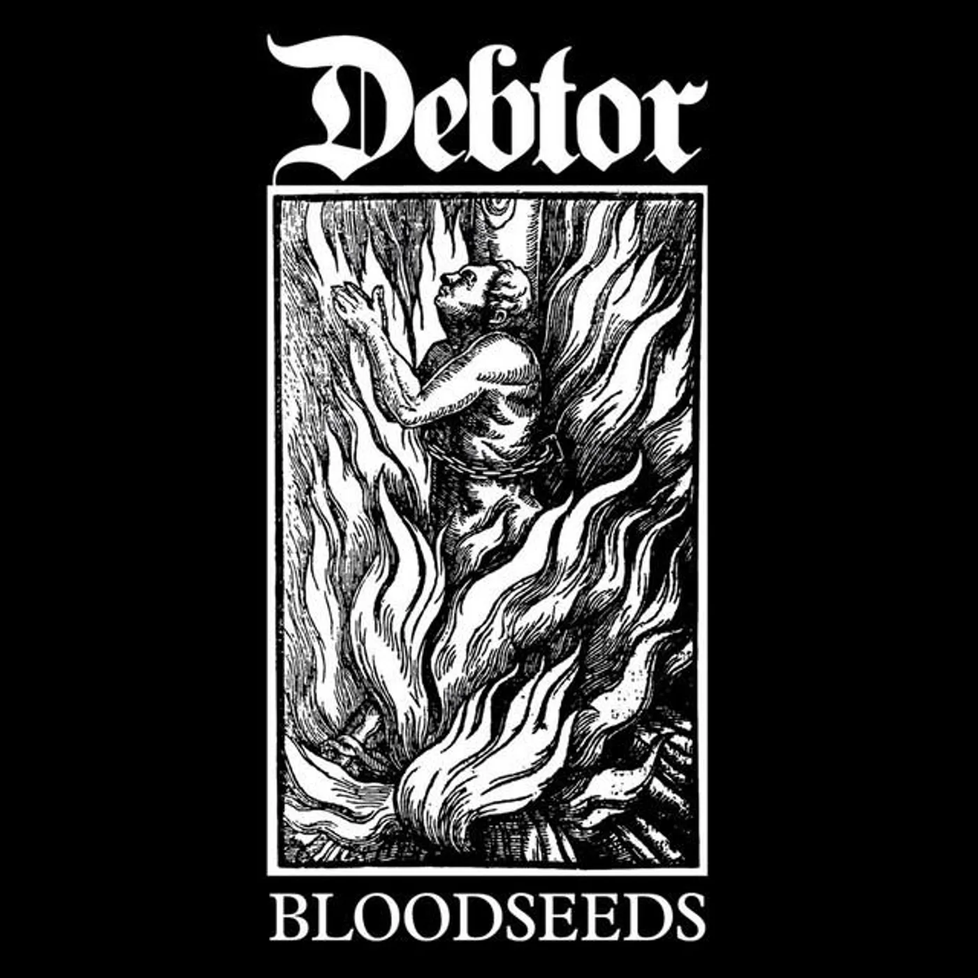Debtor Brand Page