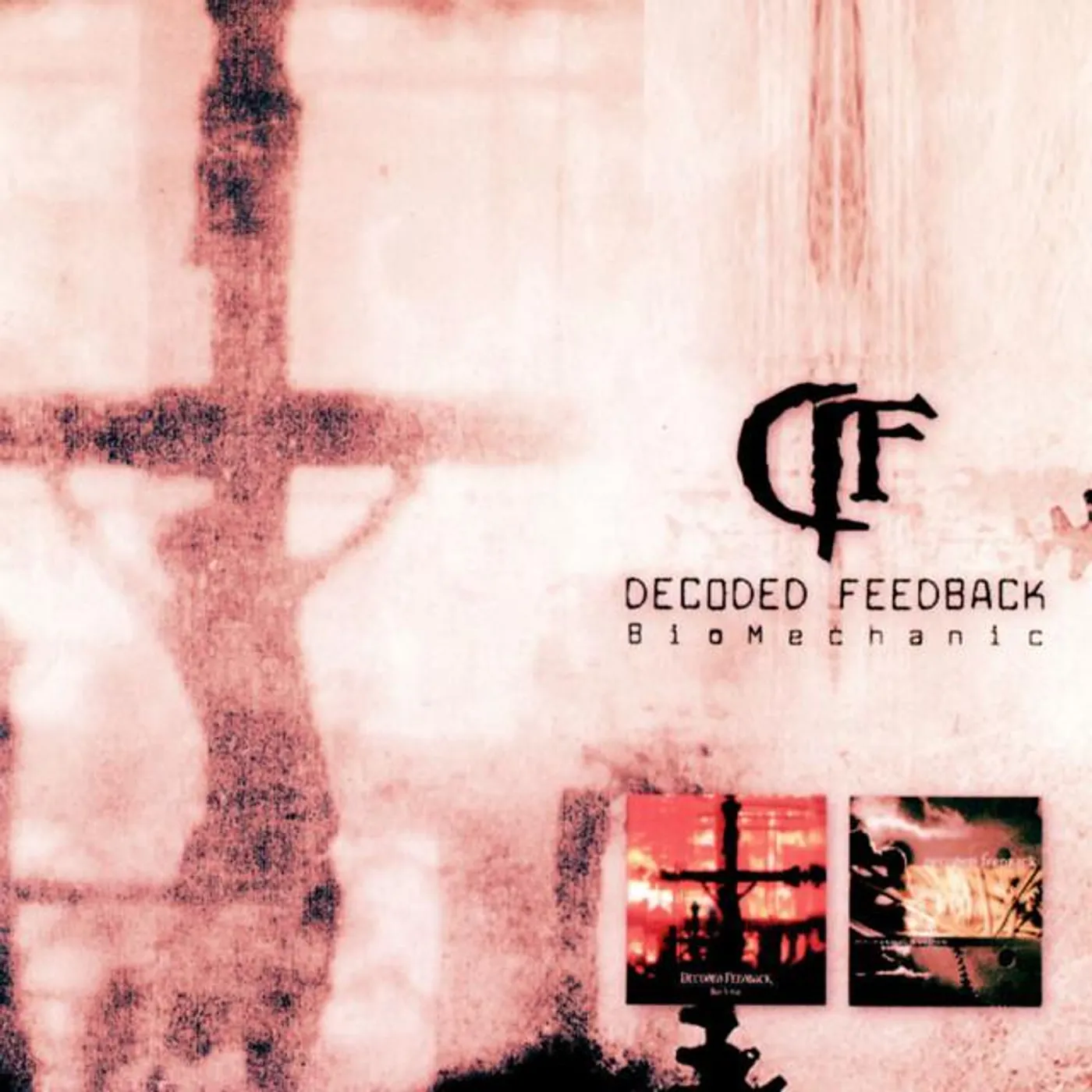 Decoded Feedback