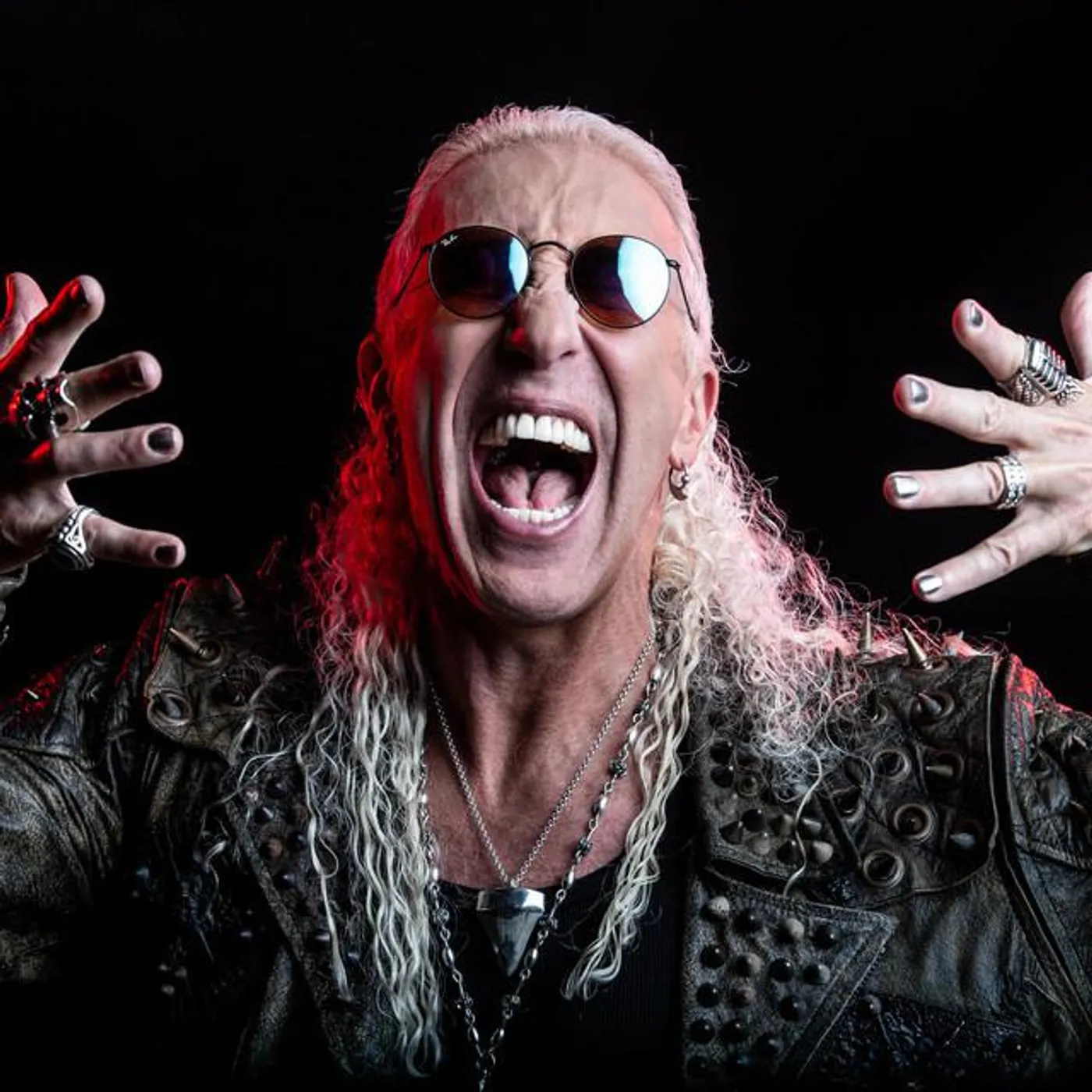 Dee Snider Brand Page