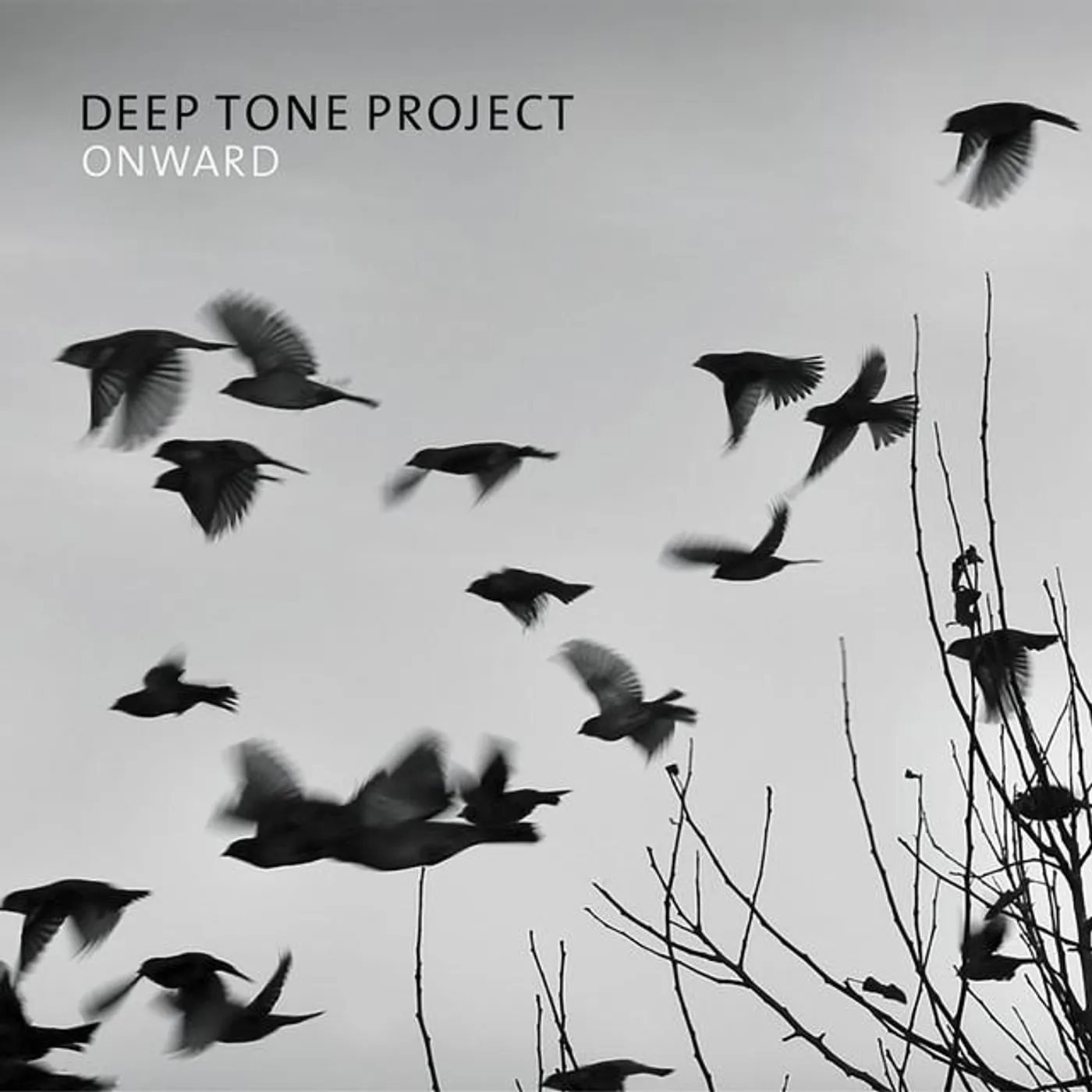 Deep Tone Project Brand Page
