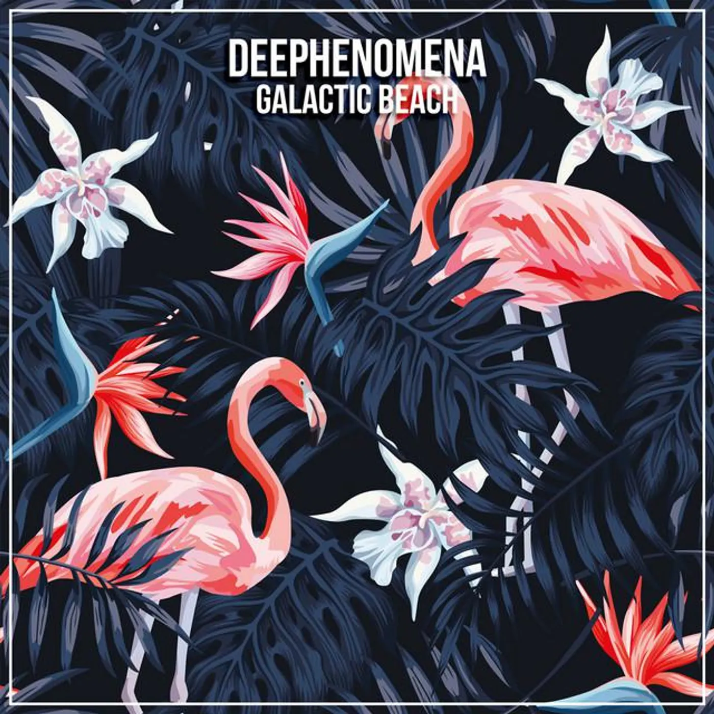 Deephenomena Brand Page