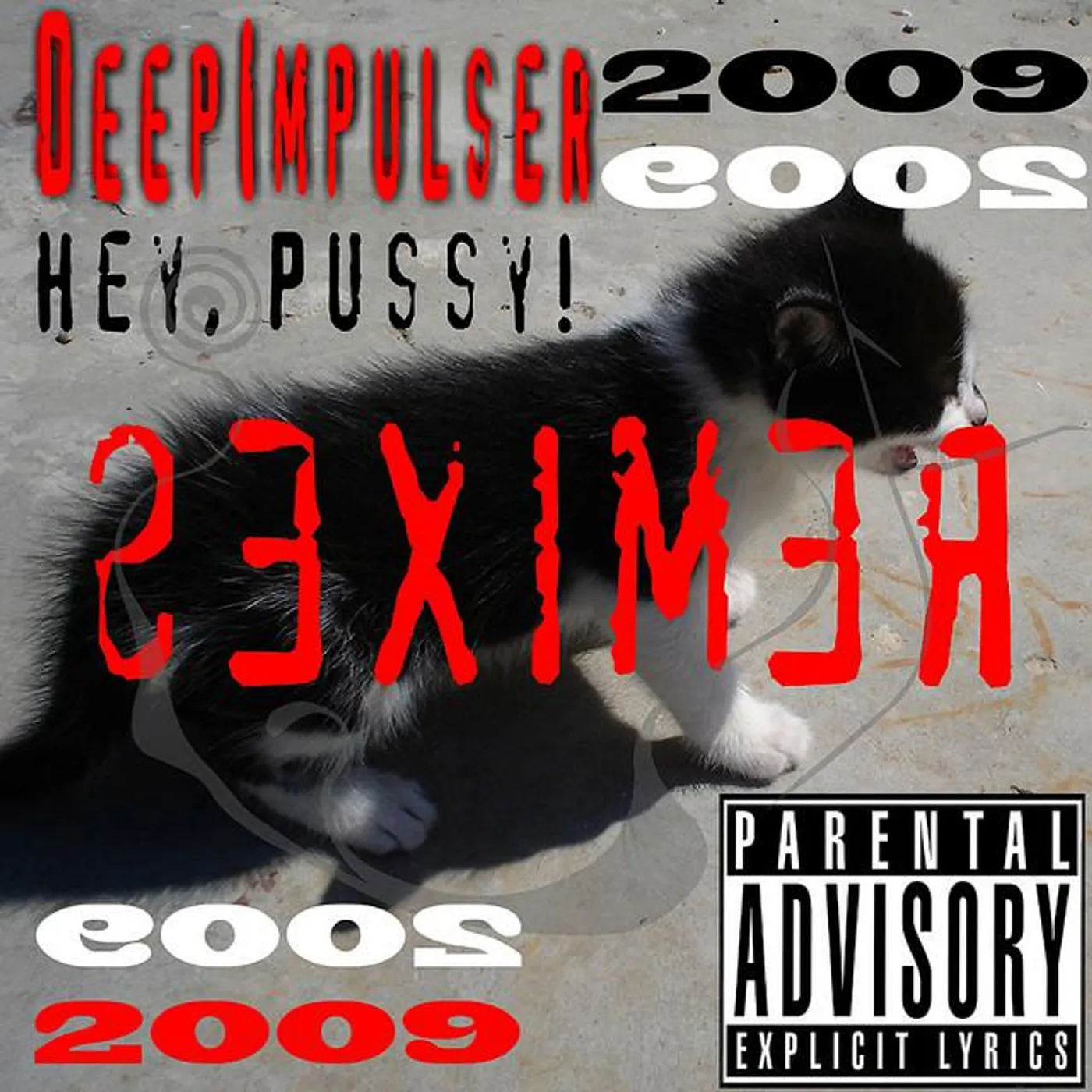 DeepImpulser