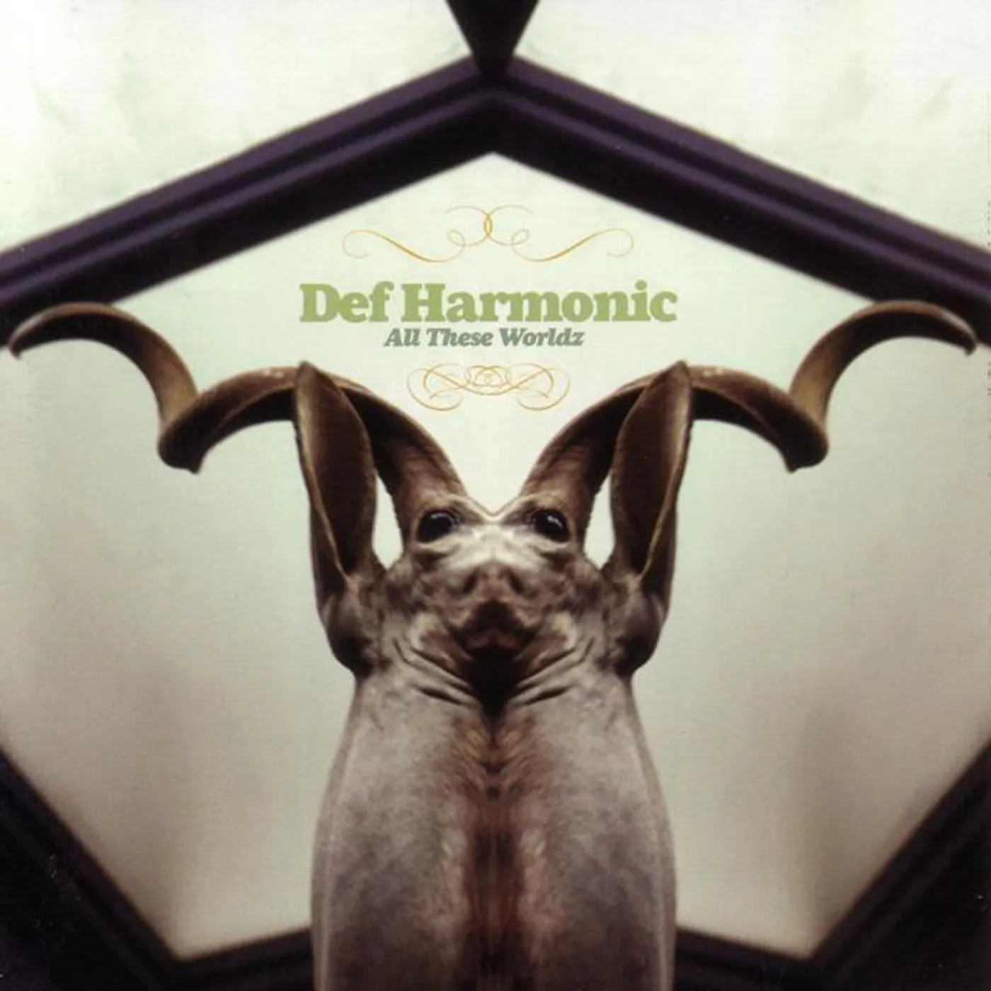 Def Harmonic Brand Page
