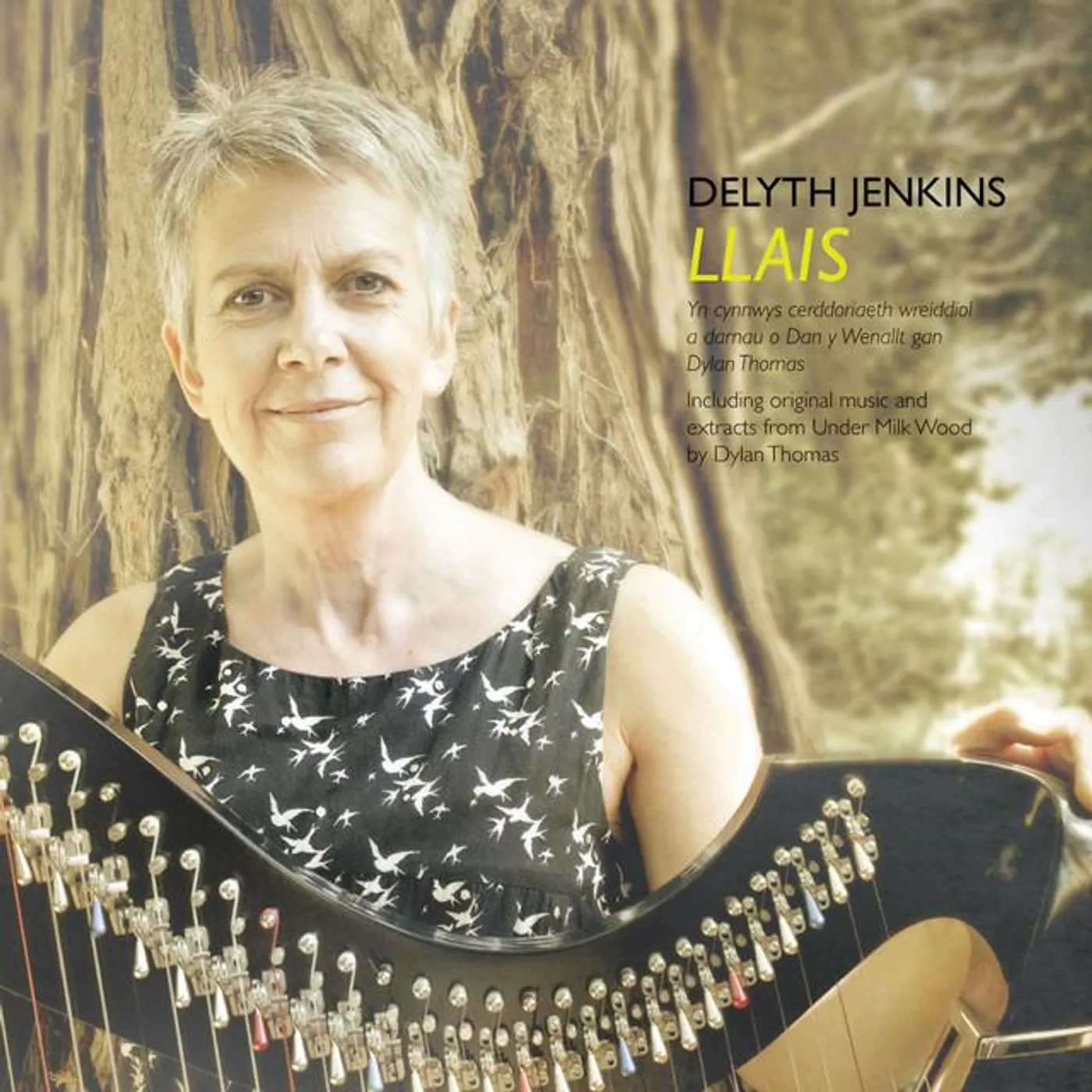 Delyth Jenkins