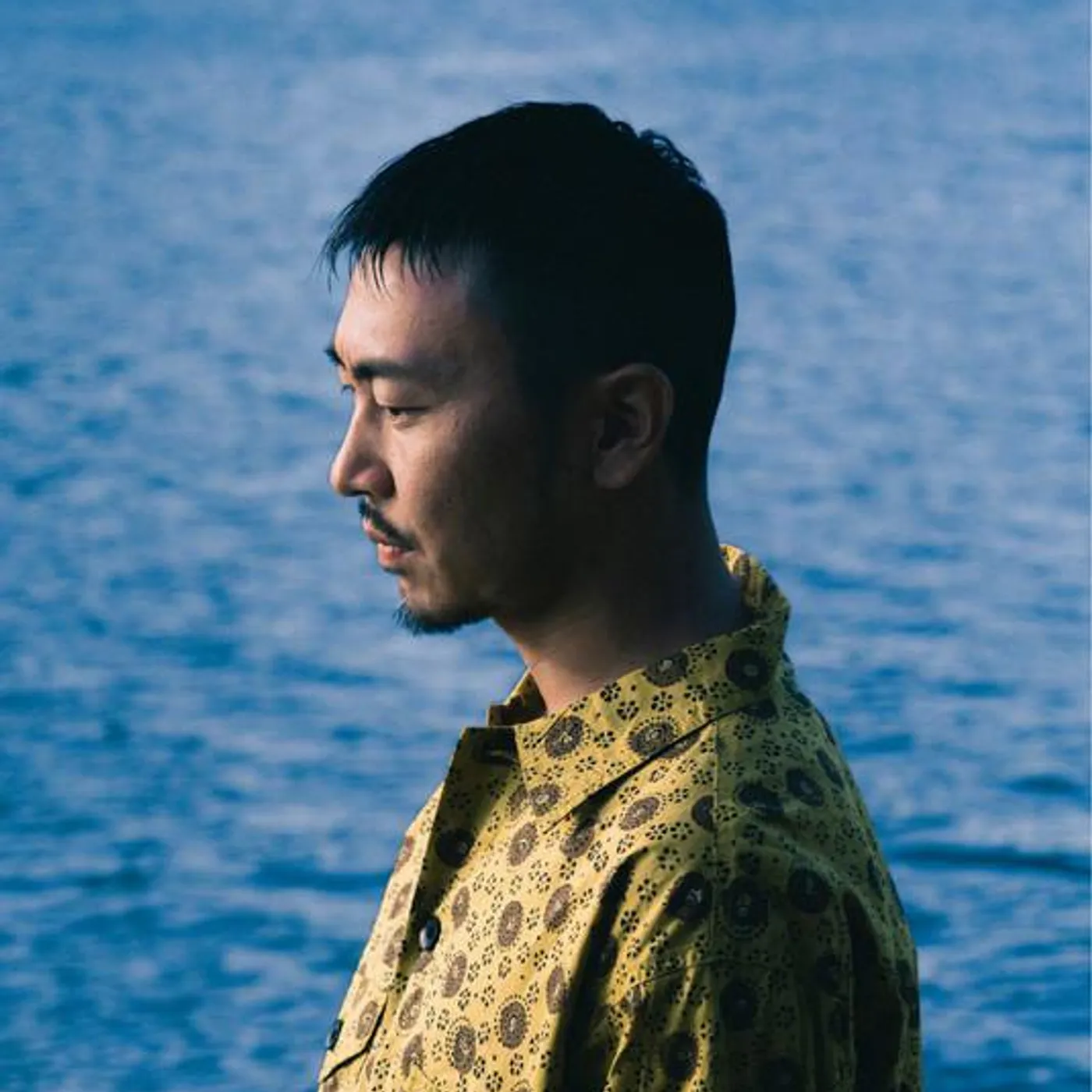 Dengaryu