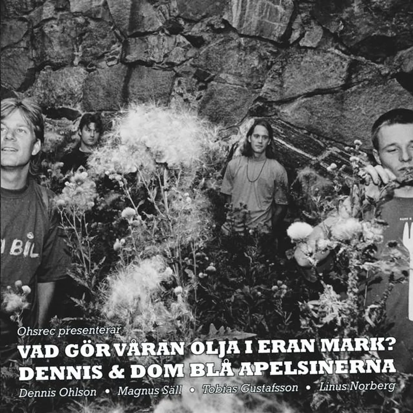 Dennis & Dom Blå Apelsinerna