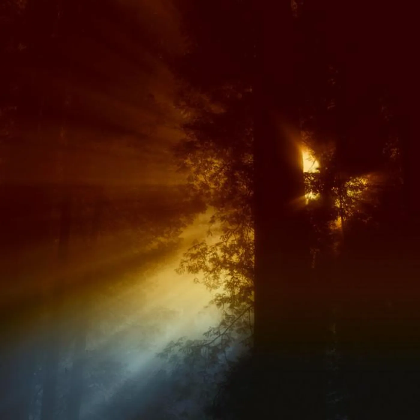 Depths Of Stillness Brand Page