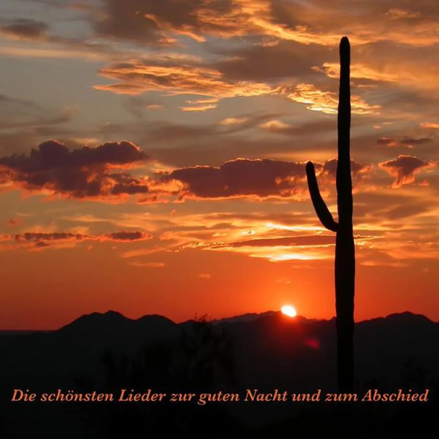 Der Kindergarten Chor