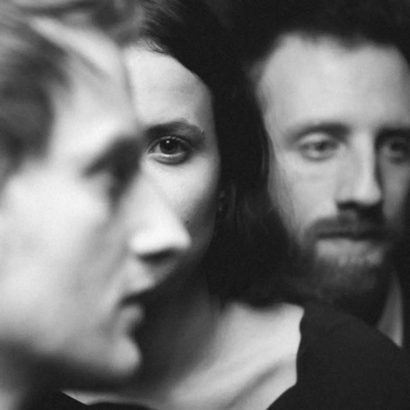 Der weise Panda Brand Page