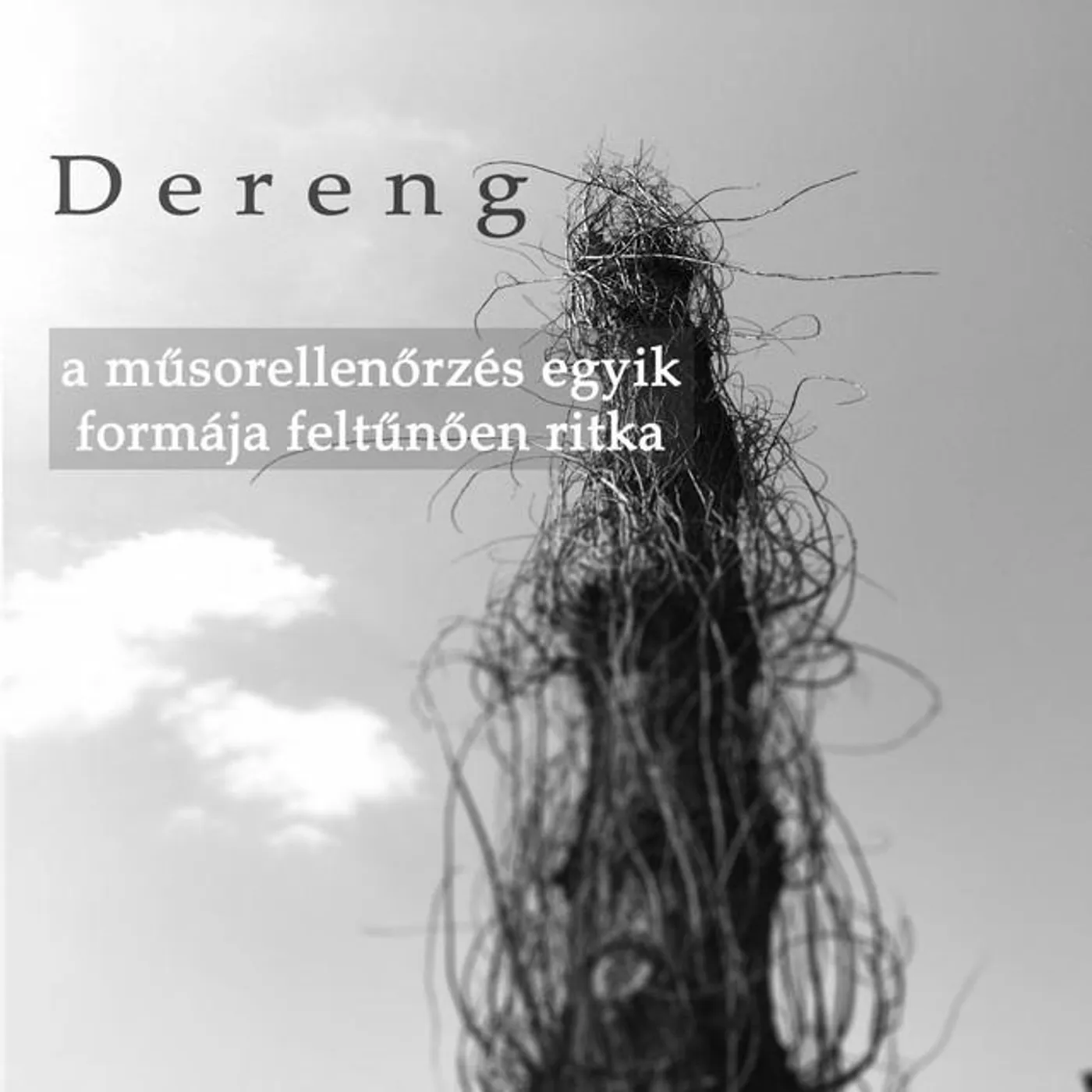 Dereng Brand Page
