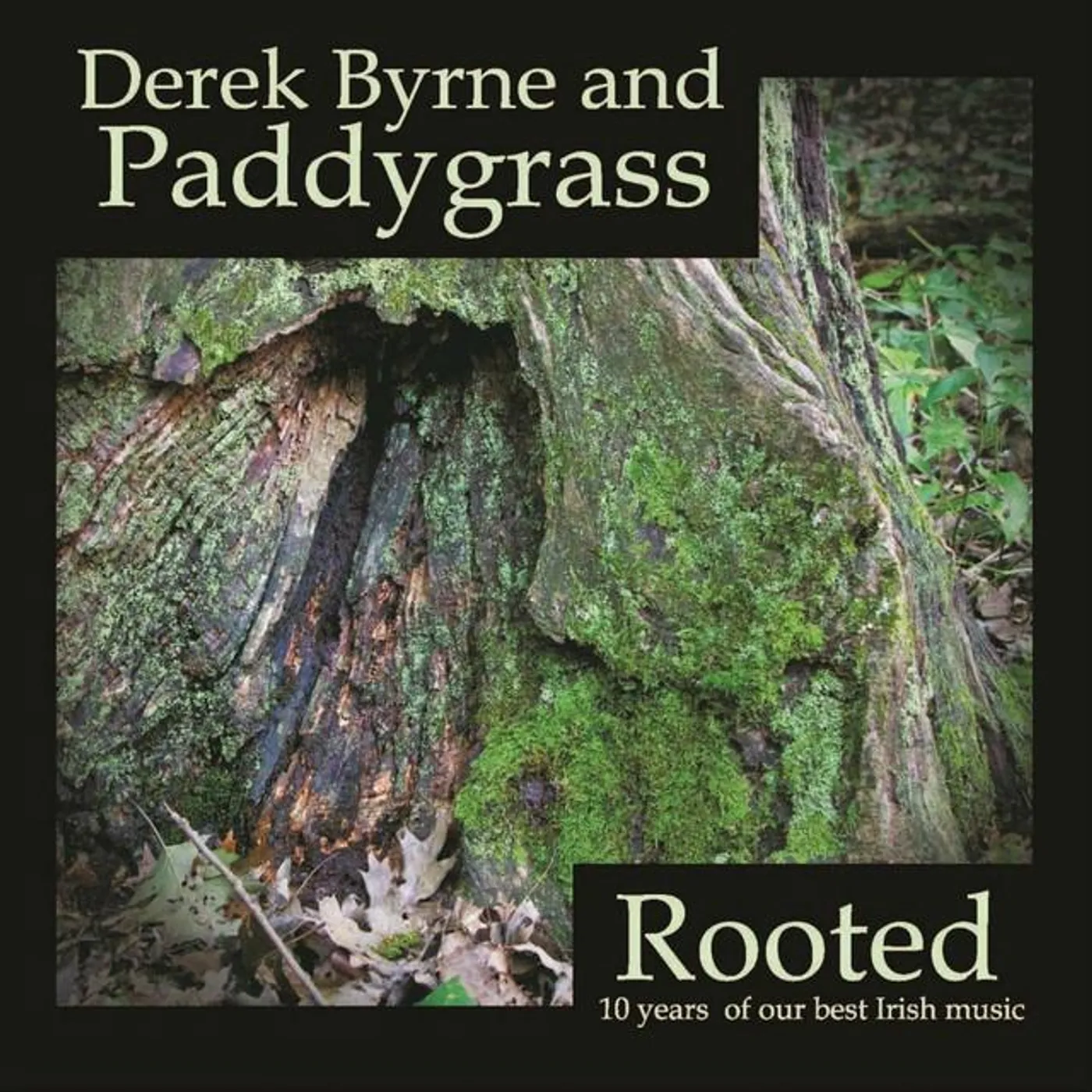 Derek Byrne