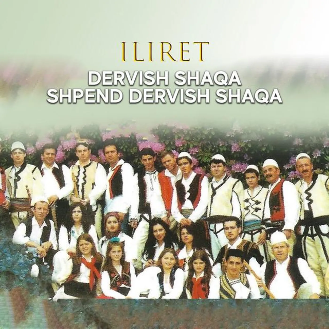Dervish Shaqa