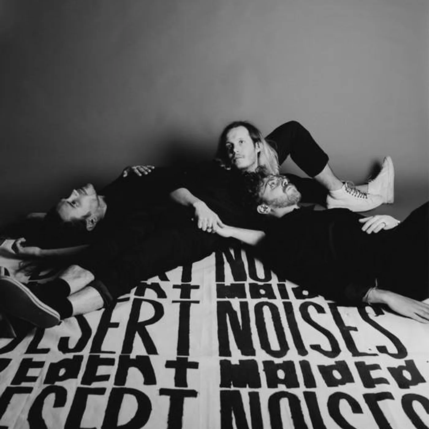 Desert Noises