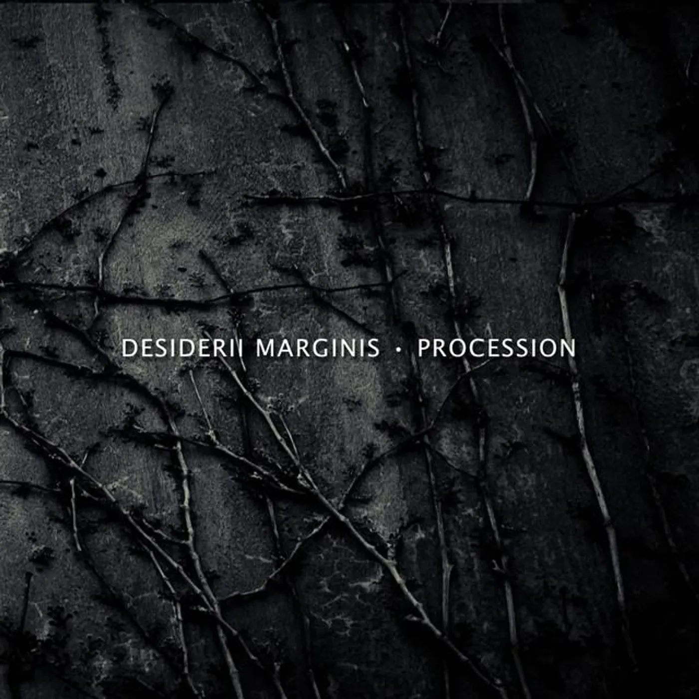 Desiderii Marginis Brand Page