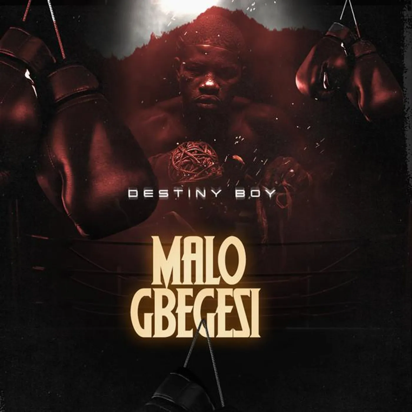 Destiny Boy