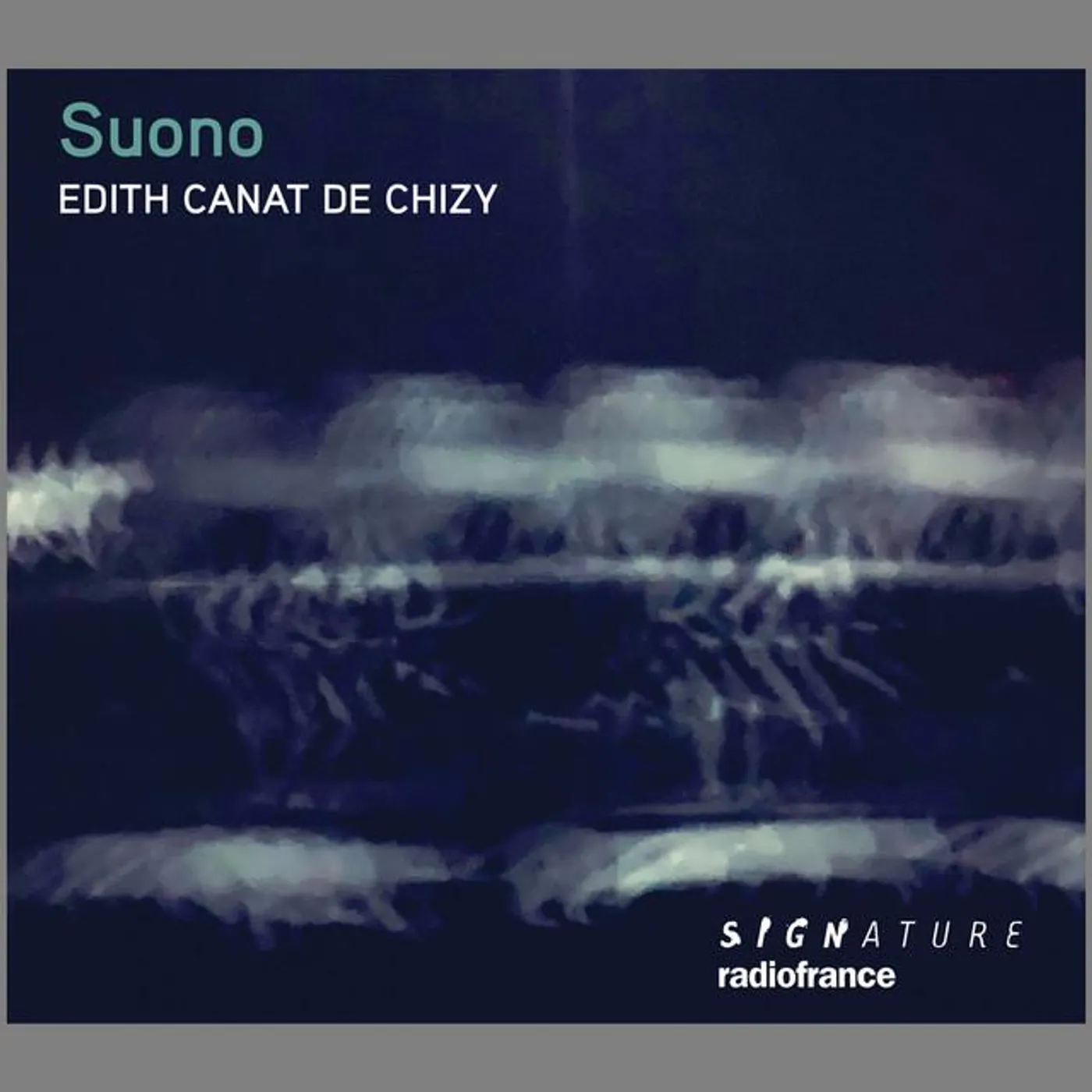 Édith Canat de Chizy