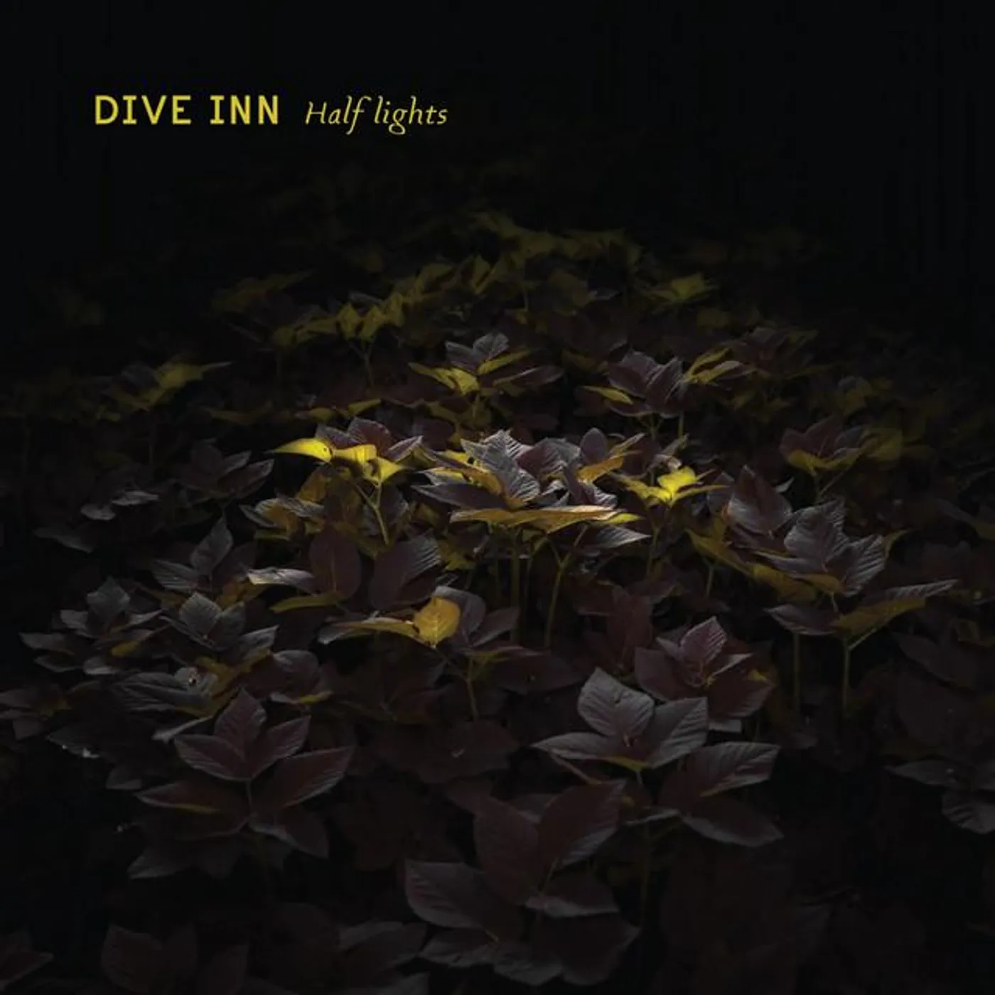 Dive Inn Brand Page
