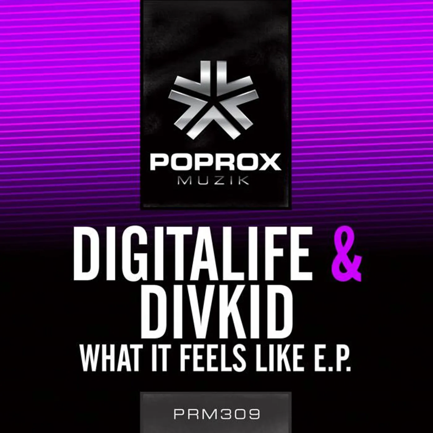 DivKid