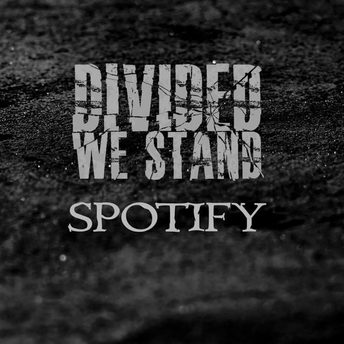 Divided We Stand Brand Page