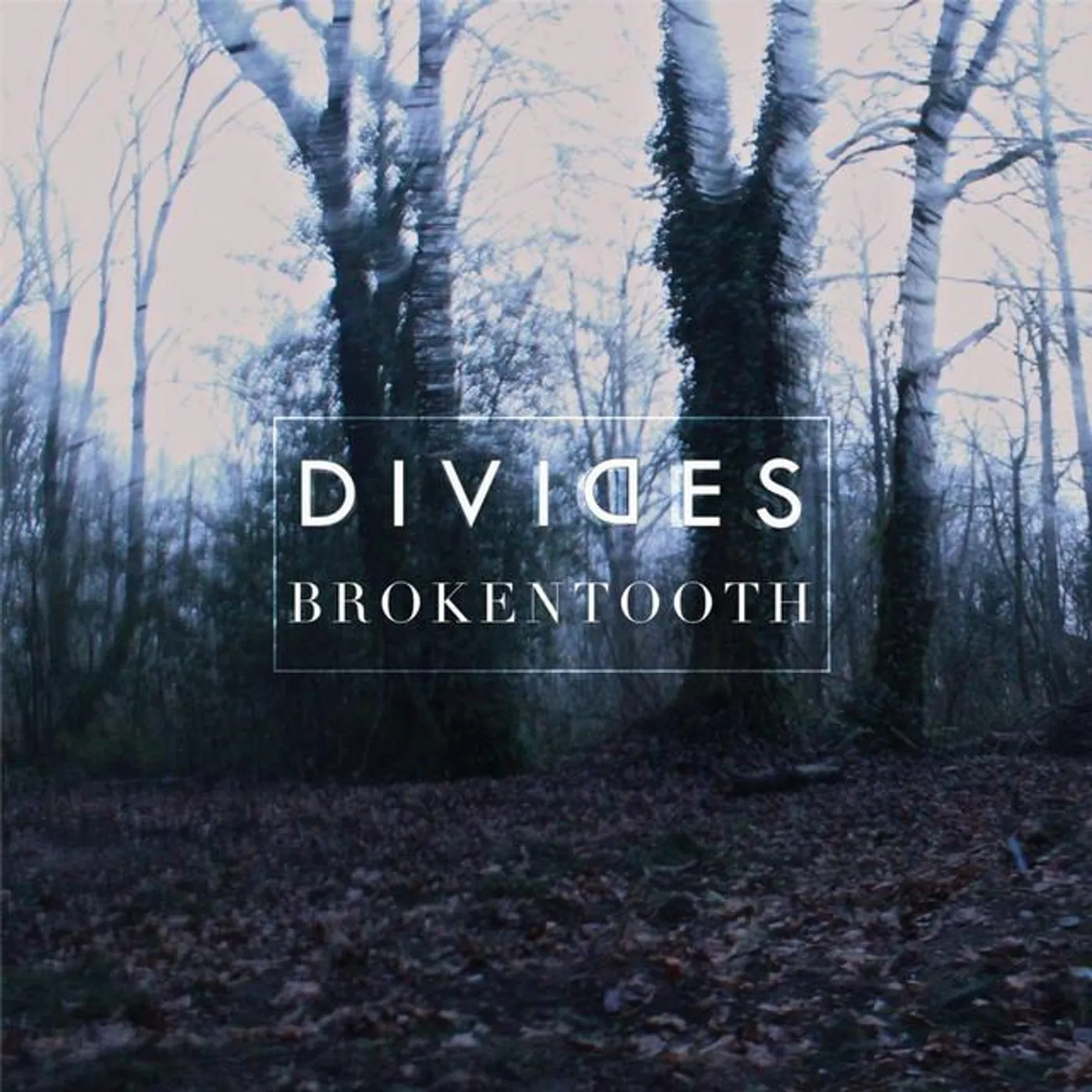 Divides Brand Page