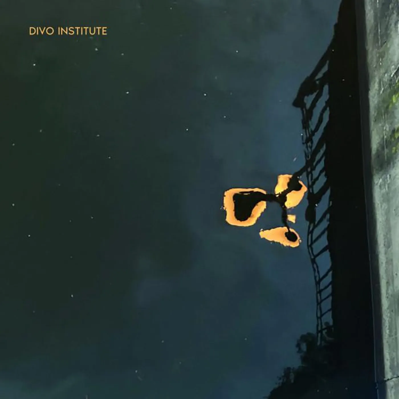 Divo Institute