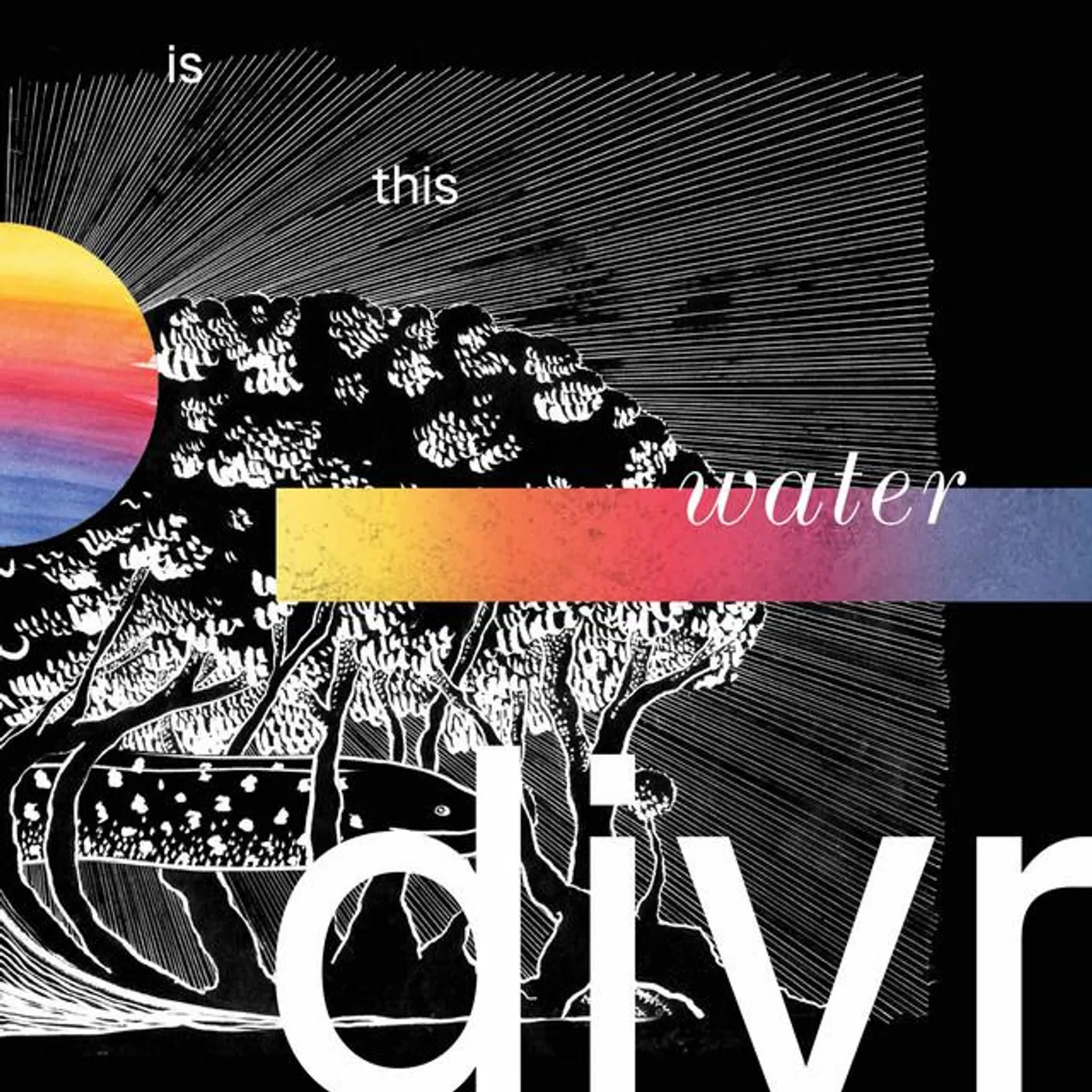 divr