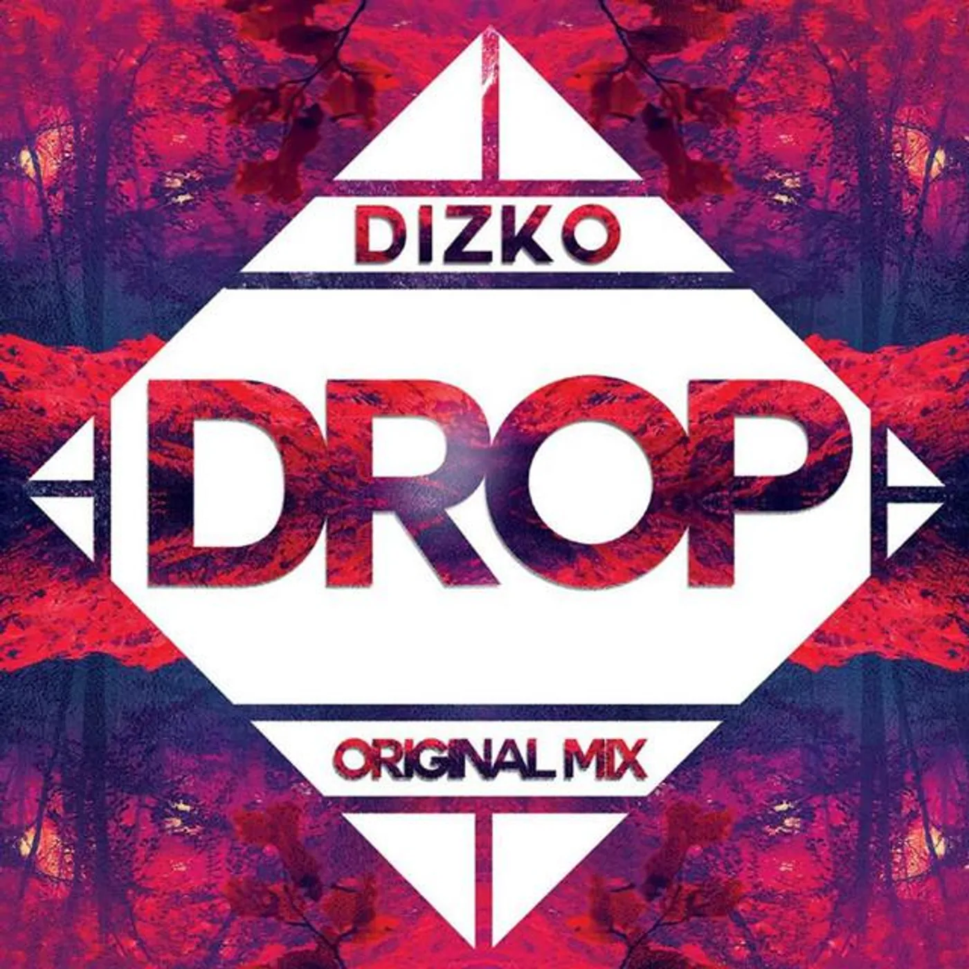 Dizko Brand Page