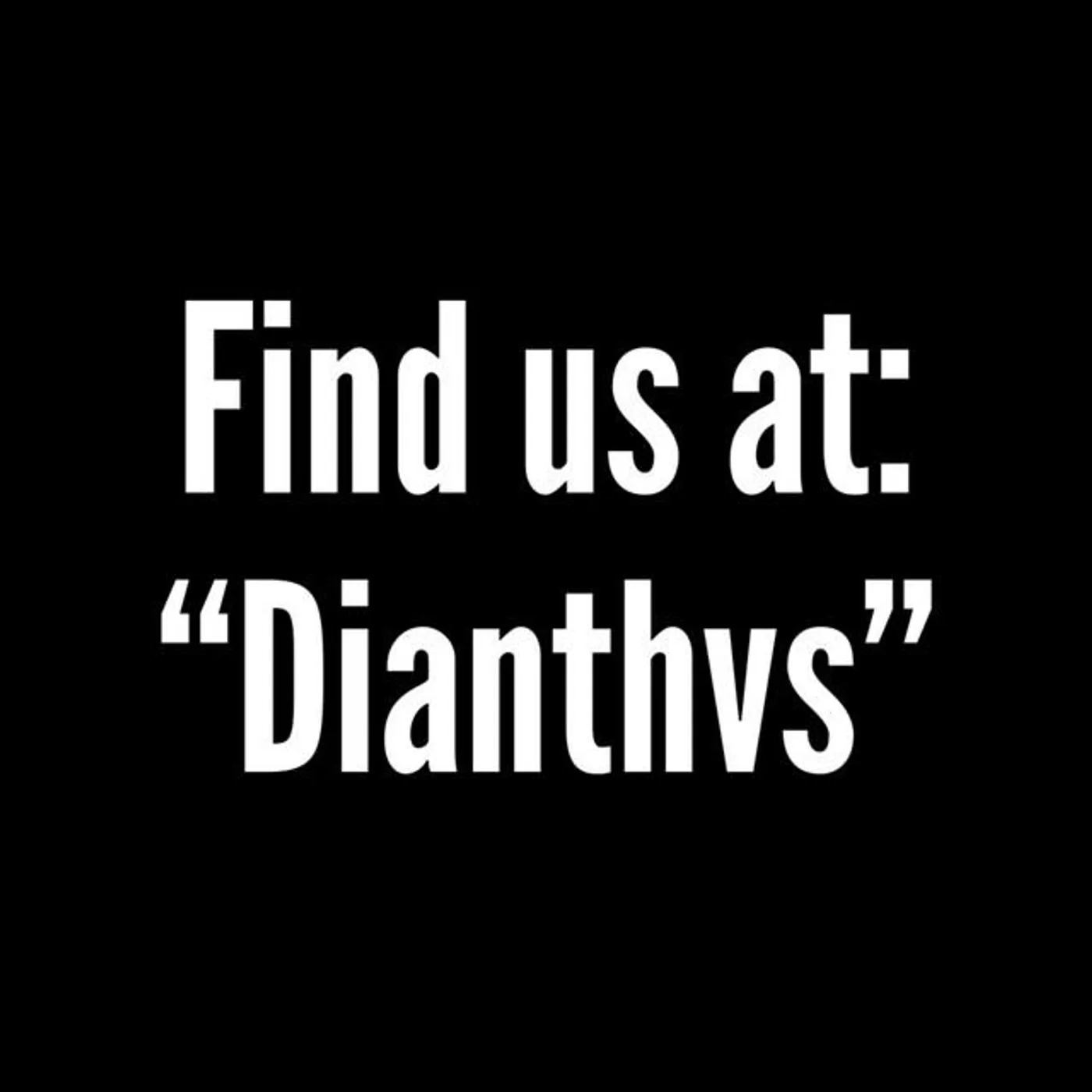 Dianthus
