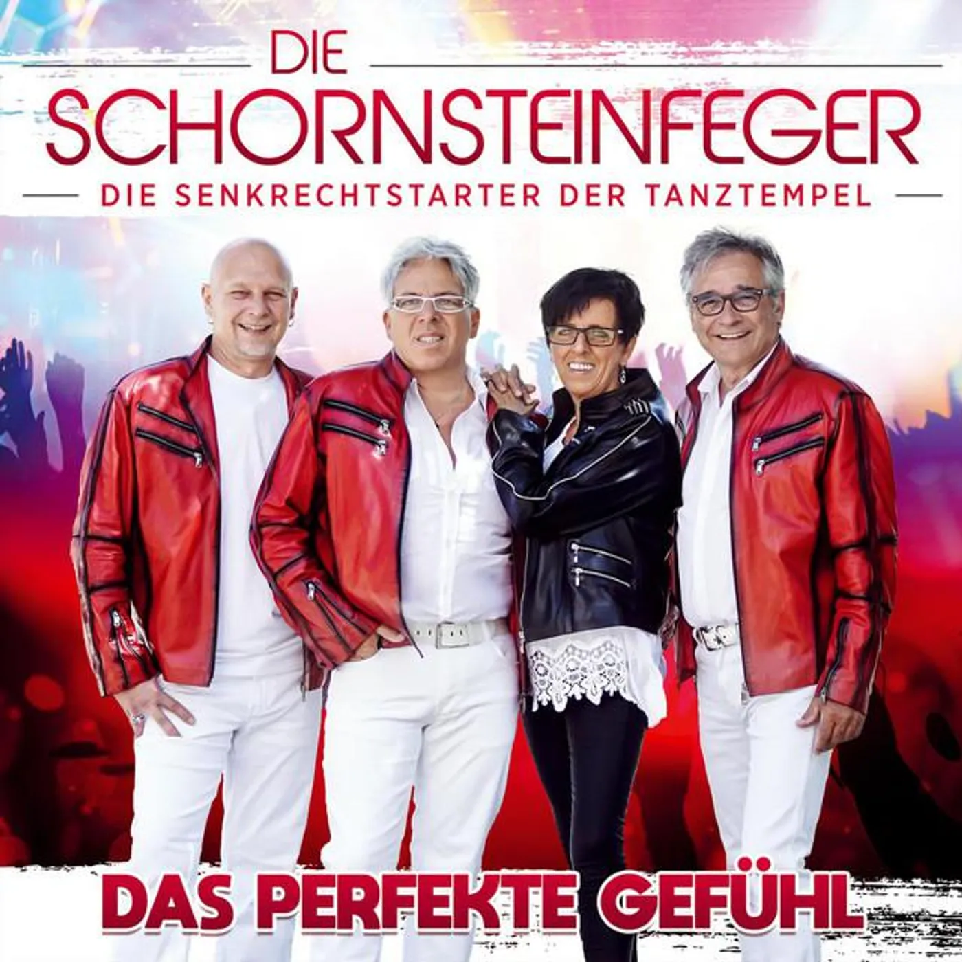 Die Schornsteinfeger