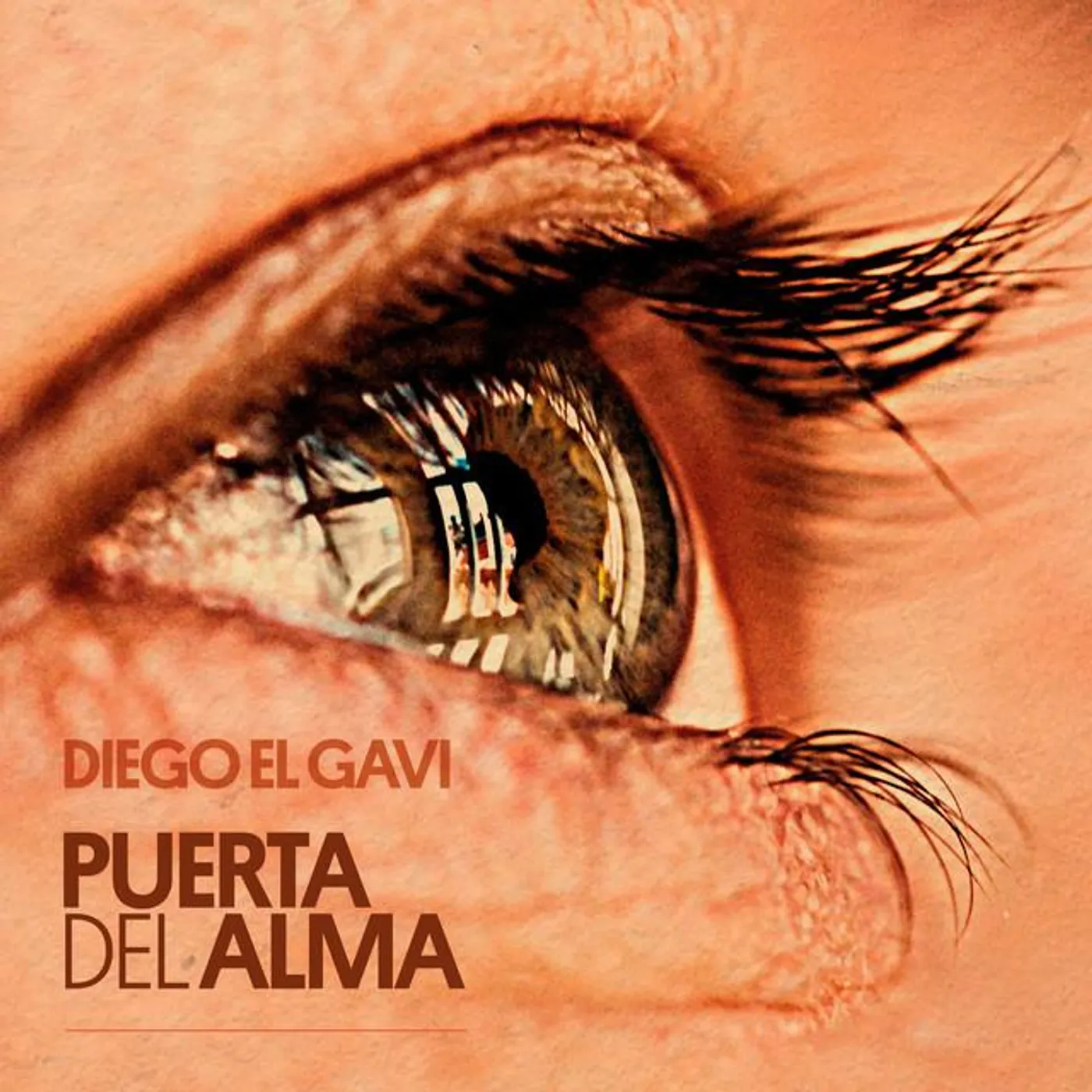 Diego el Gavi Brand Page