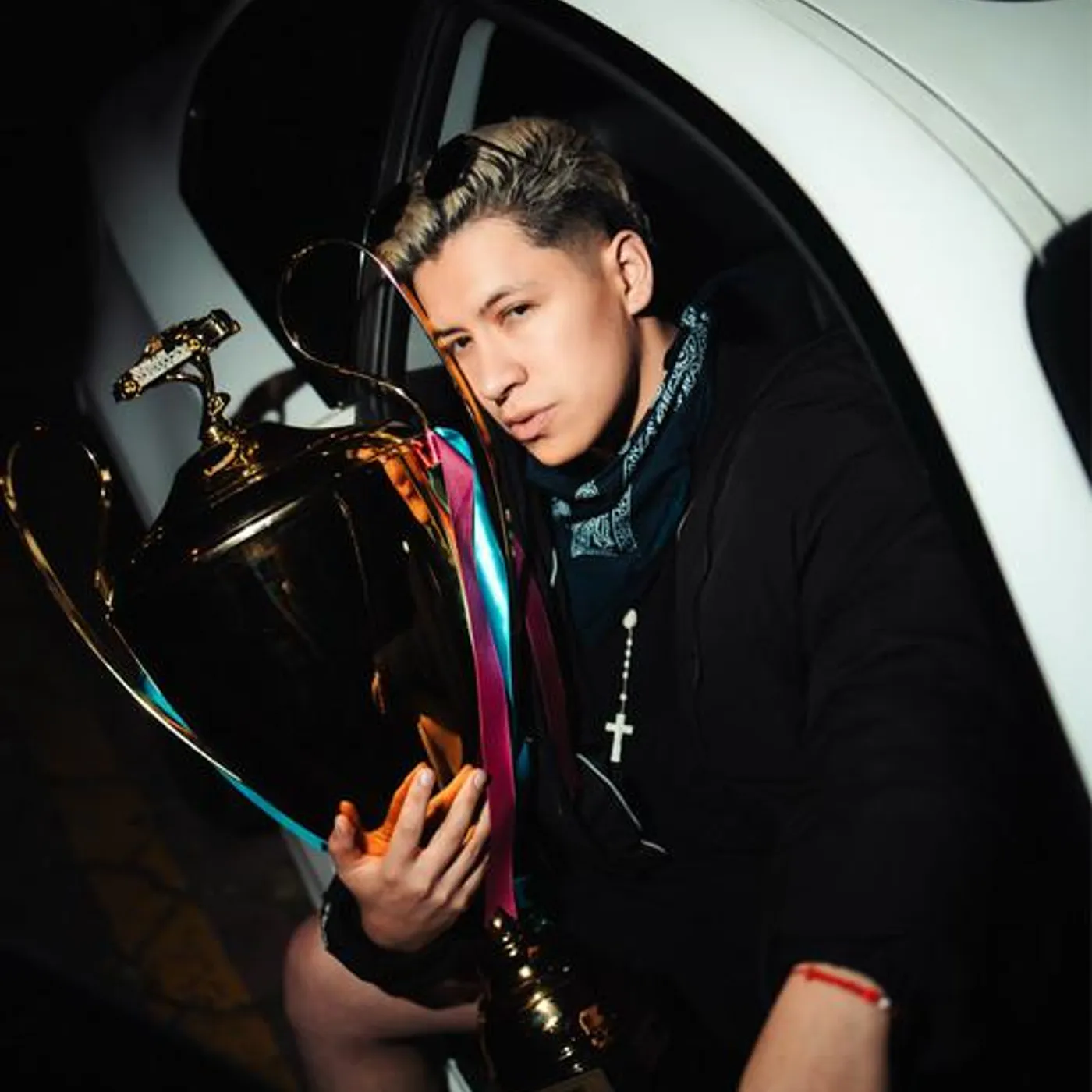 Diego Villacis DVM