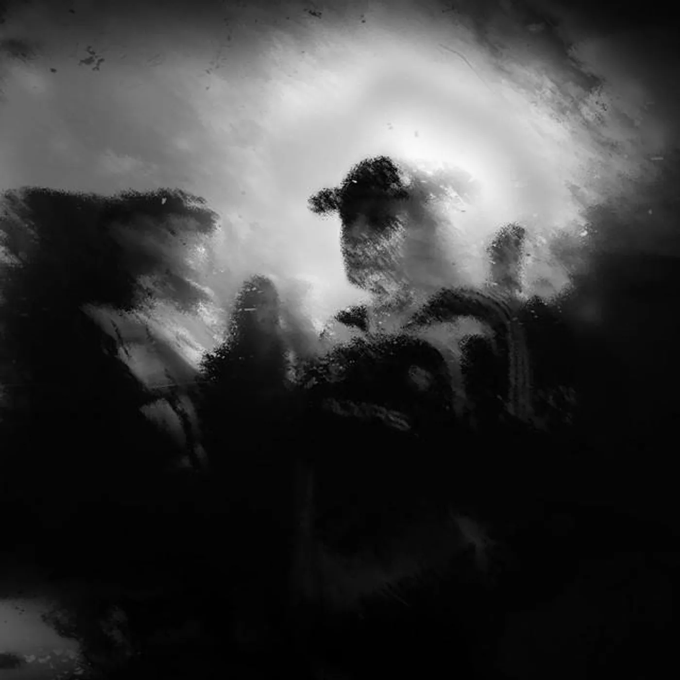 DIESECT Brand Page
