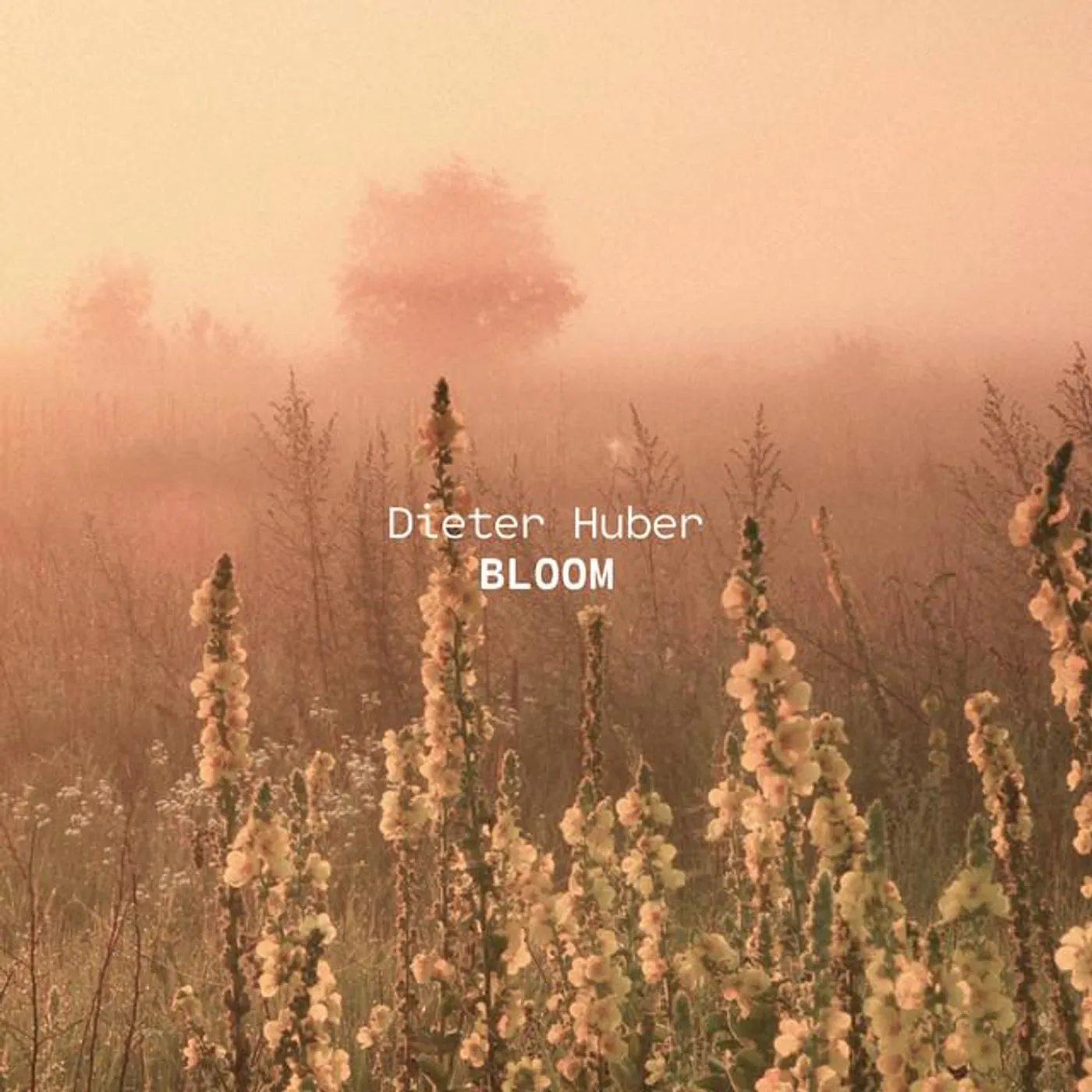 Dieter Huber Brand Page