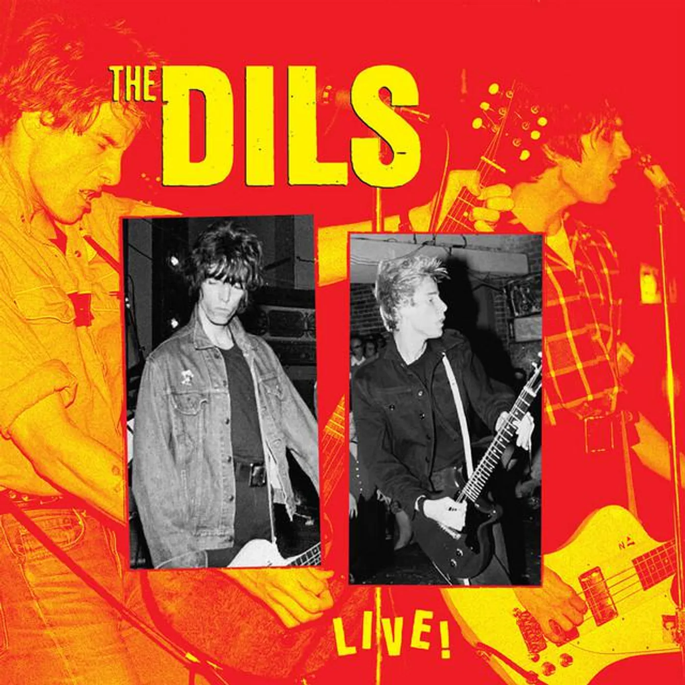 Dils Brand Page