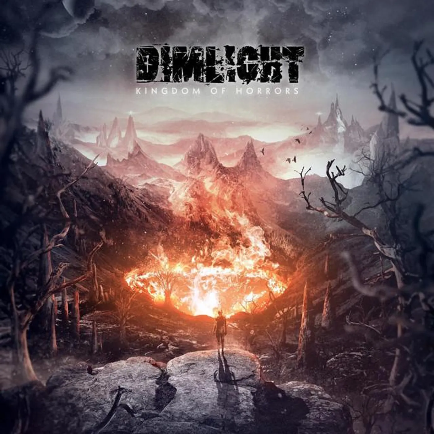 Dimlight Brand Page