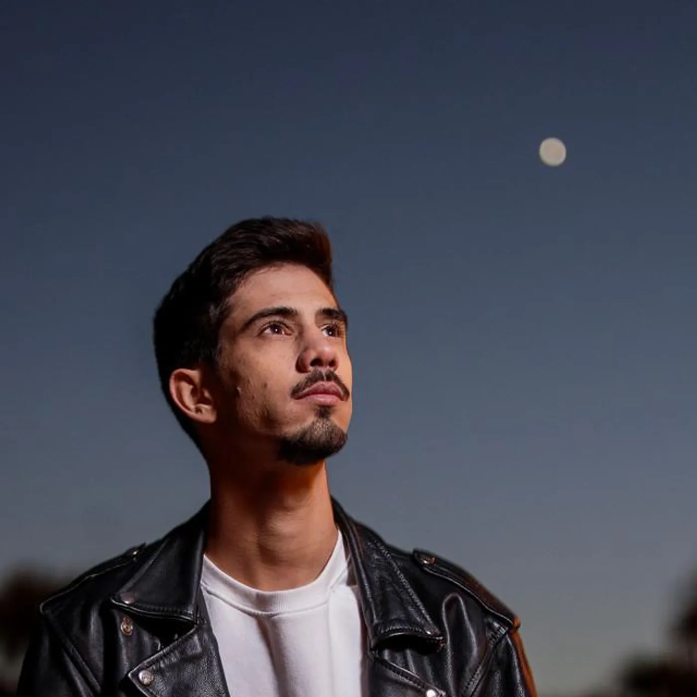 Dinis Mateus
