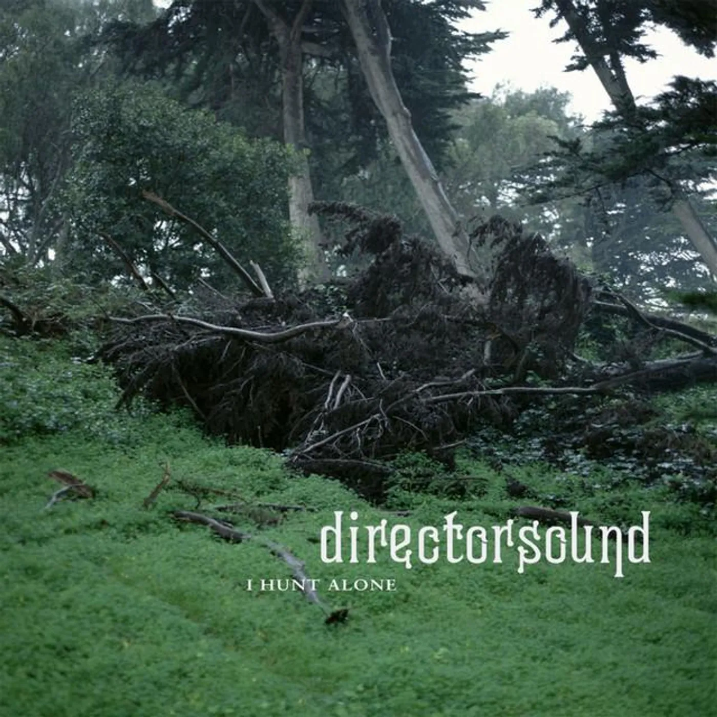 Directorsound Brand Page