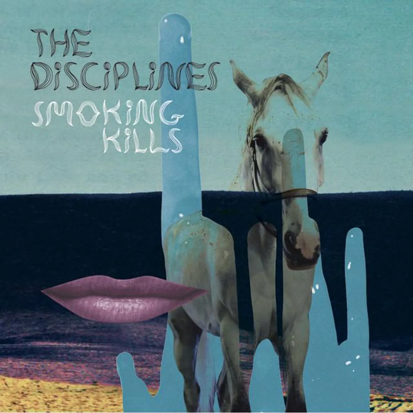 Disciplines