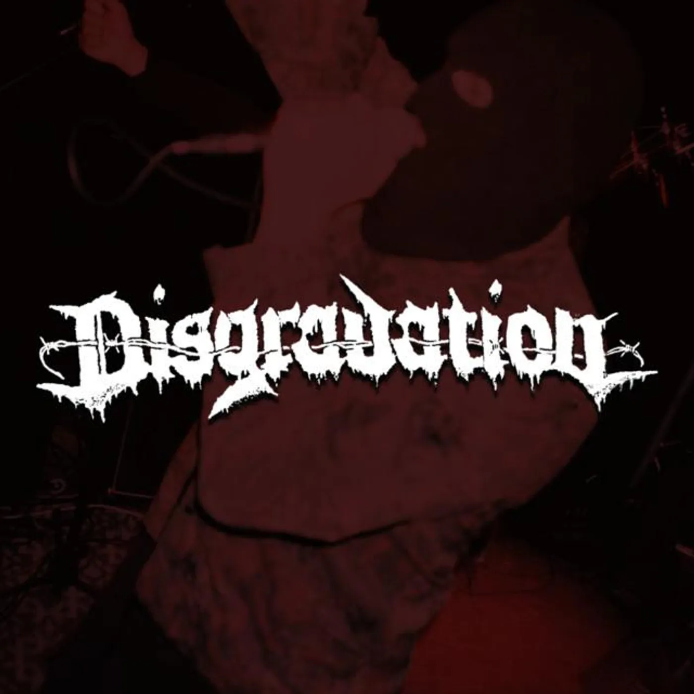 Disgradation Brand Page
