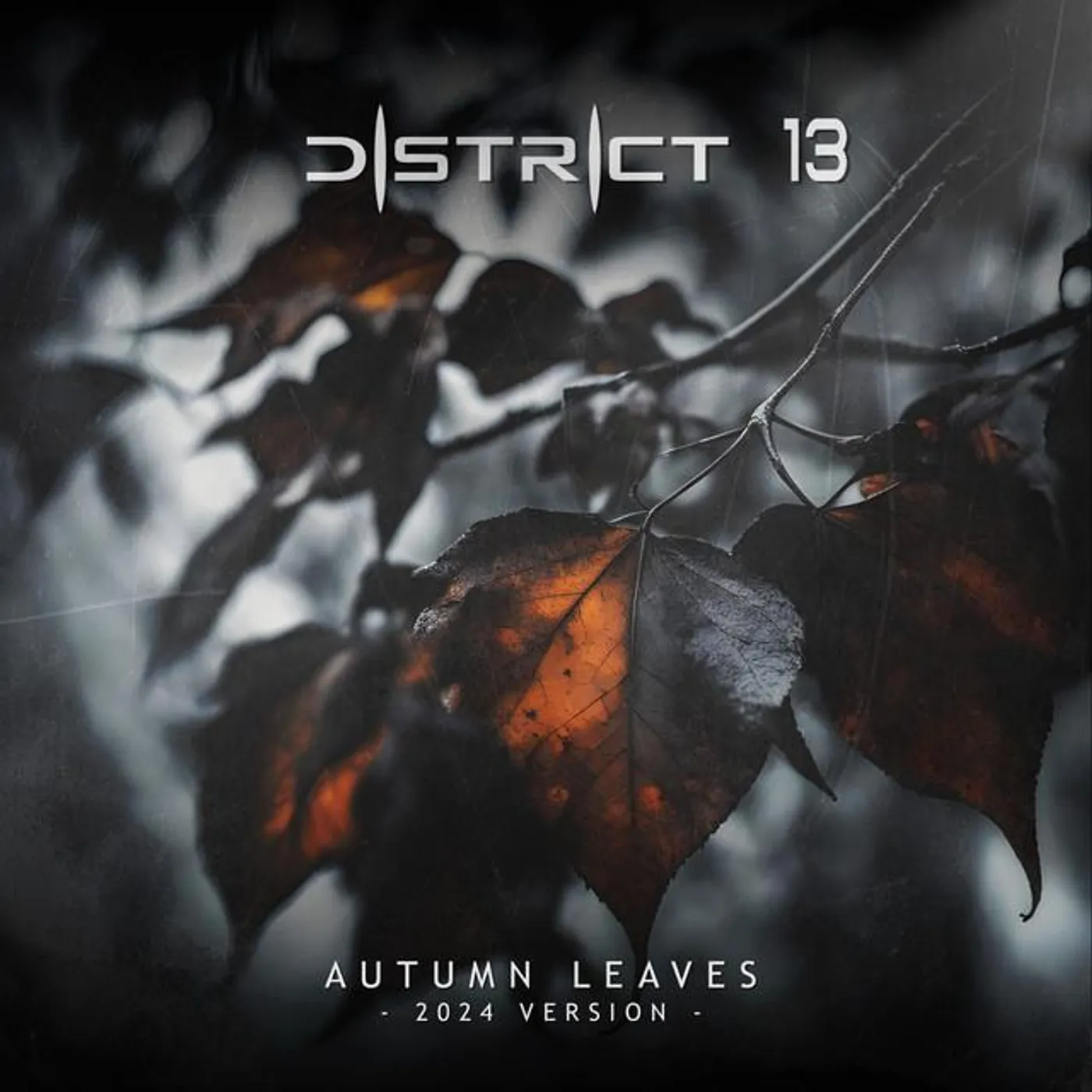 District 13 Brand Page