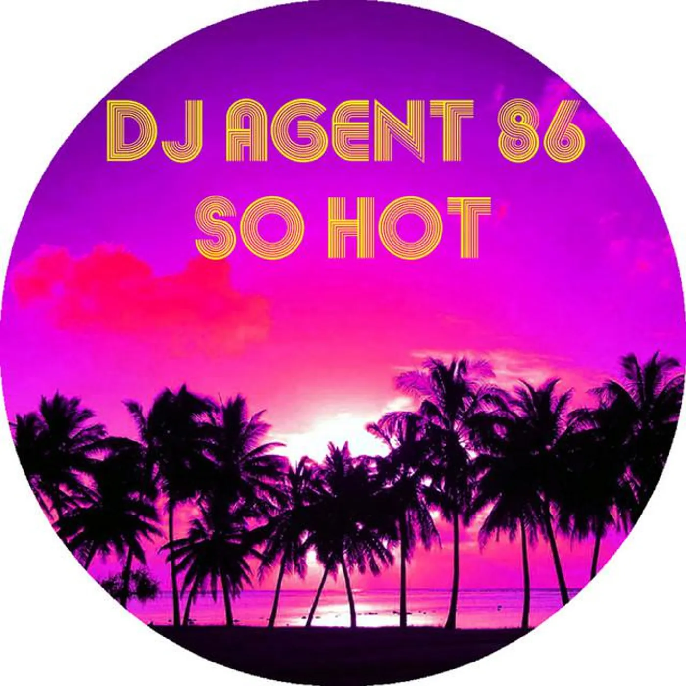 DJ Agent 86