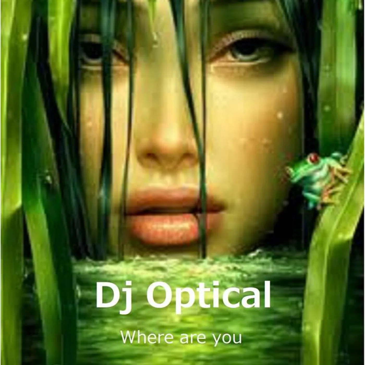 DJ Optical Brand Page
