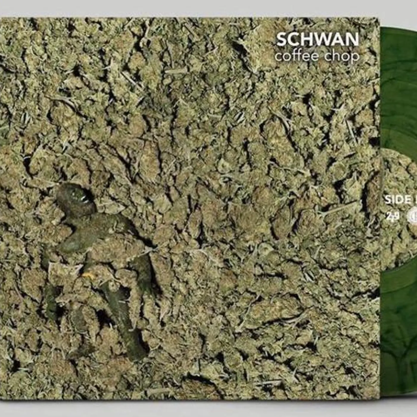 DJ Schwan Brand Page